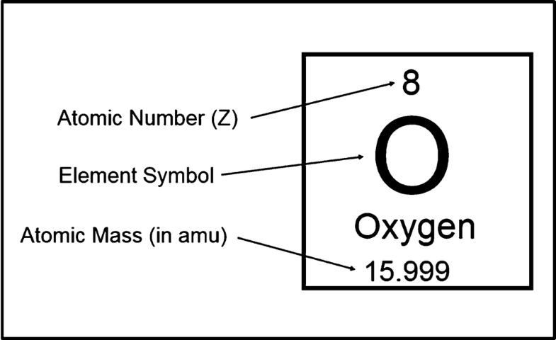 The layout of an element